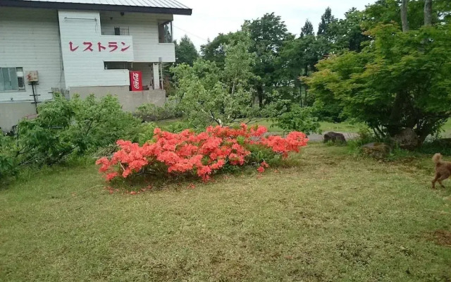 Edelweiss Akakura