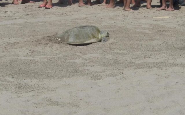 Gran Hotel Plaza Marsol