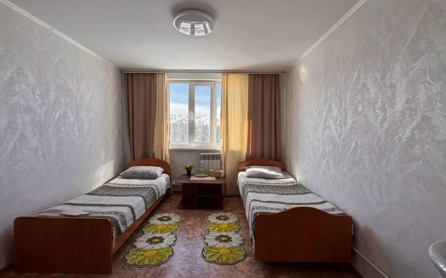 Кедр Золотой