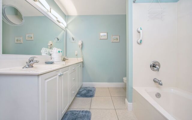 Celedon 1602 - 1531853