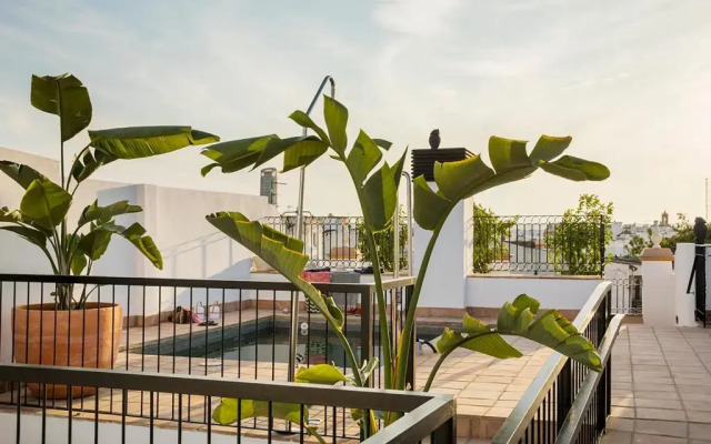Feria Pool & Luxury