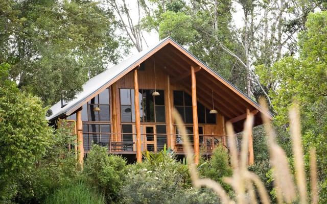 The Canopy Rainforest Treehouses and Wildlife Sanctuary