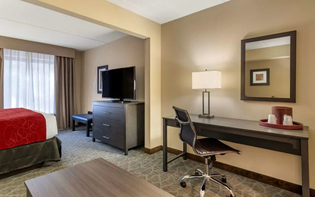 Comfort Suites Alpharetta/Roswell - Atlanta Area