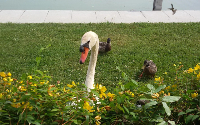 Yachting Hotel Mistral