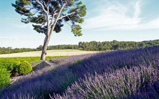 Château La Tour Vaucros