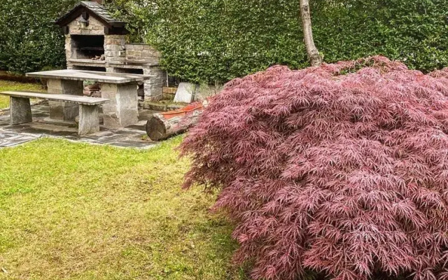 Appartamento con Giardino e Box in Valmalenco