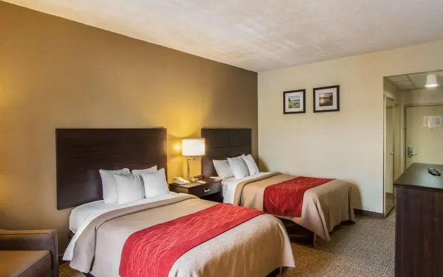 Comfort Inn Hayti