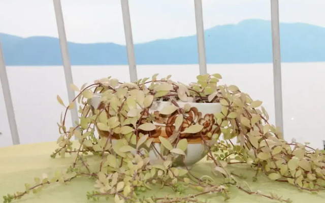 Sea View - Cosy & Comfortable - A3 Boris