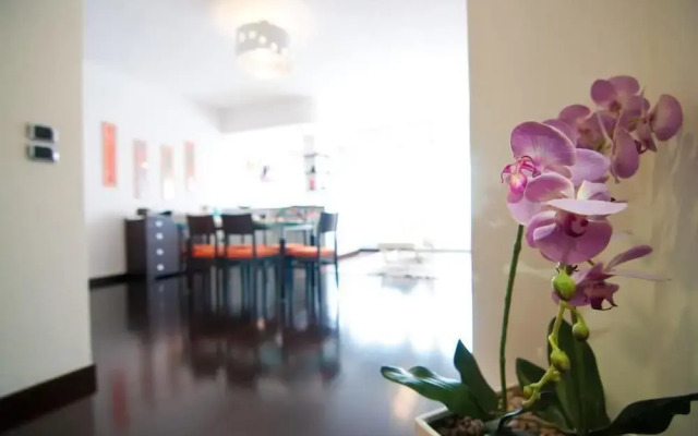 The Branch Apartment