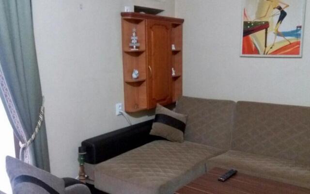 Irina's Apartment