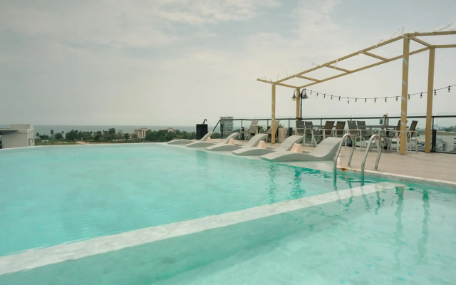 Whale Hua Hin