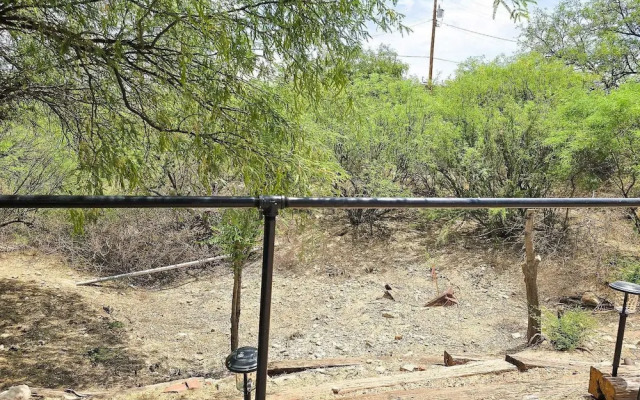 Vigilante Inn Immortal Camp