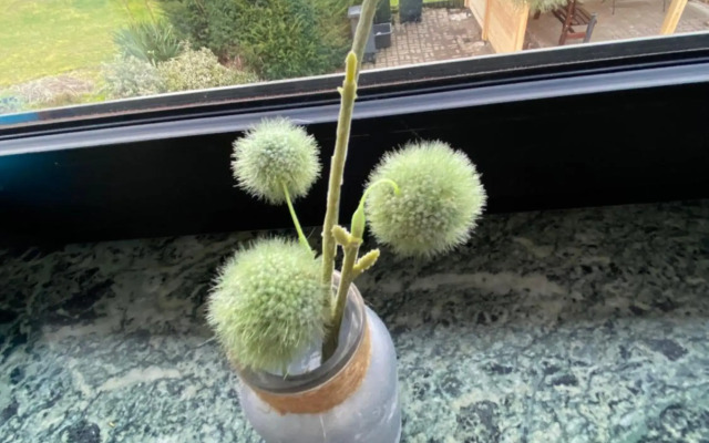 über den Dächern von Neheim