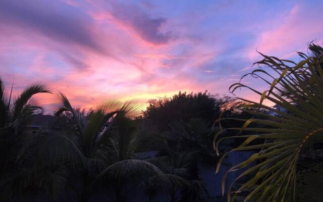 Birdsong Bahamas