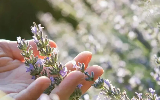 Seebrunn - Außere Schwemmalm