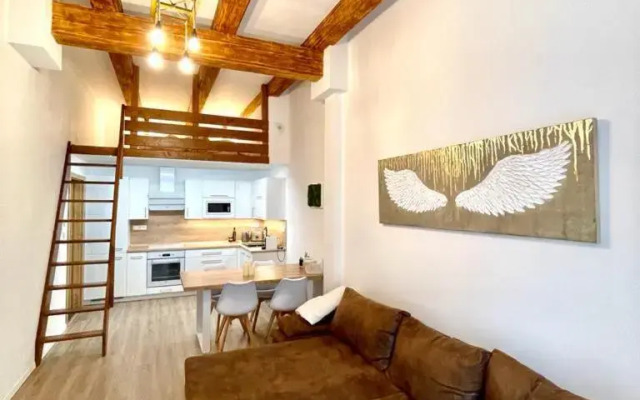 Angel Apartment Černý důl