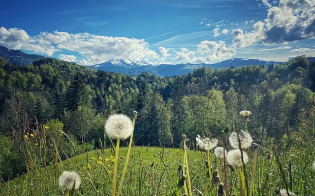 Wälderhof
