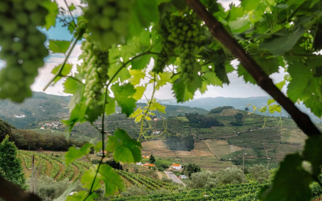 Vila Marim Country House