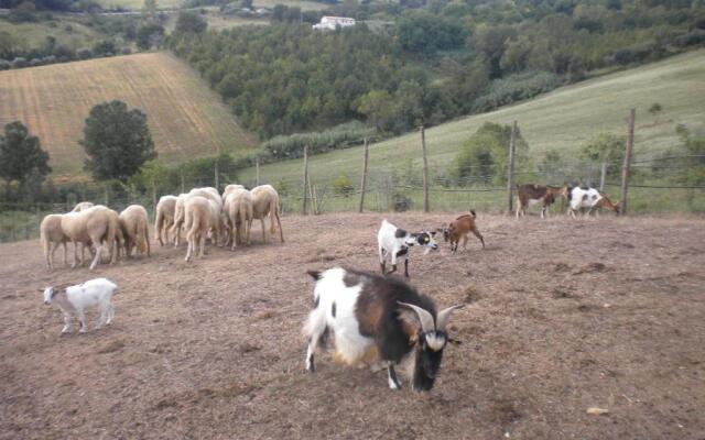 Agriturismo Le Vergare