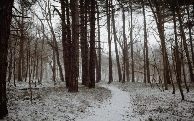 Studio Broeckestraat 12