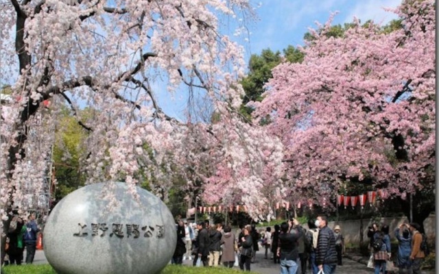 디럭스 빌라 사진 4