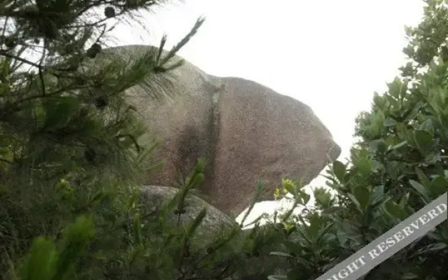 Zilian Forest Resort
