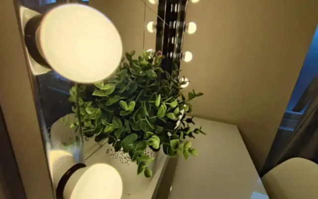 Central Edinburgh Private Garden With Parking