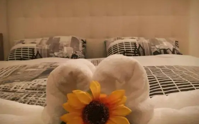 Rosy House