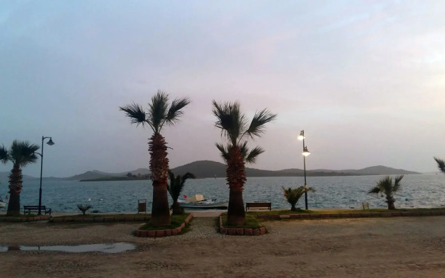 Aliye Hanım