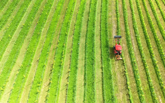 Thorbjørnrud Hotell