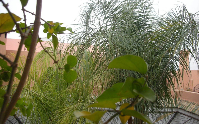 Riad Osefina