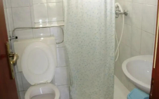 Boris - With Pool - A3