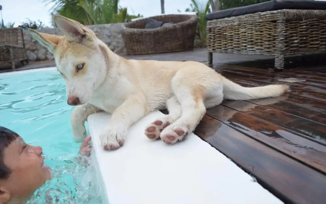 Room 7 Sicily Premium