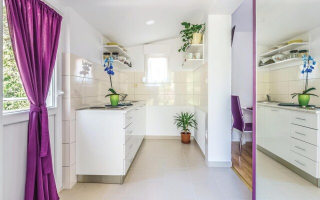 Beautiful Home in Ostrvica With Wifi and 1 Bedrooms