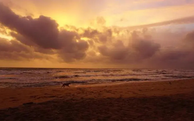 Puetz Travels Beach Resort