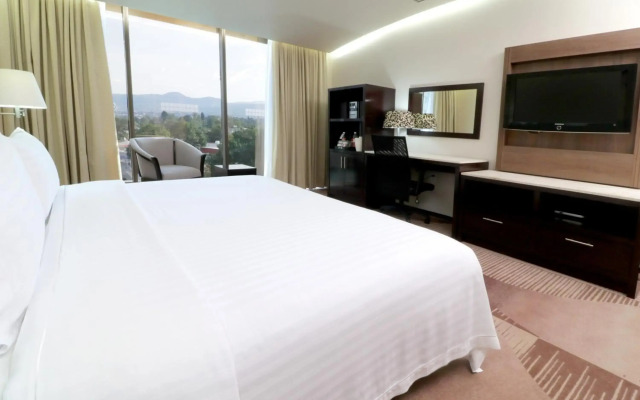 Holiday Inn Hotel & Suites Medica Sur by IHG