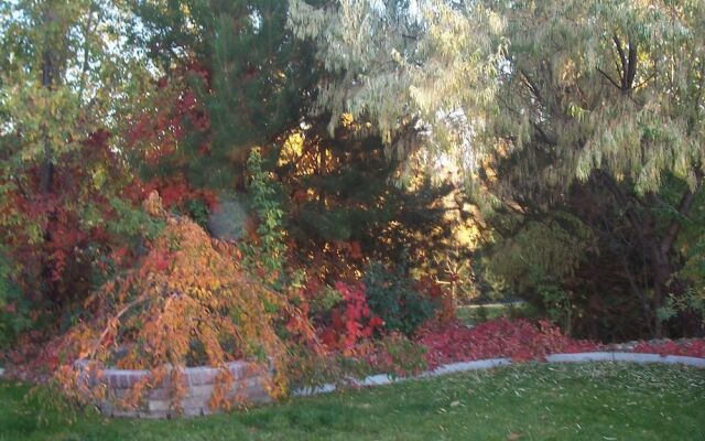 Wild Rose Manor Bed and Breakfast