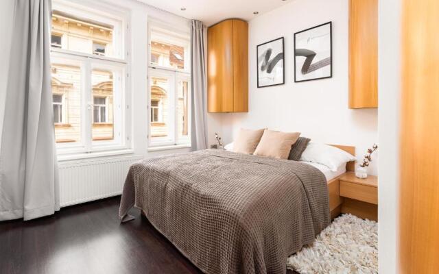 Stylish apartment at Žižkov