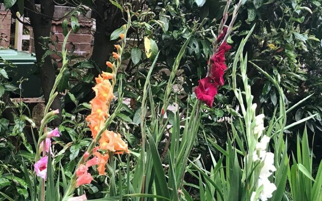 Studio/lickey Hills/near Attractions/garden/petok