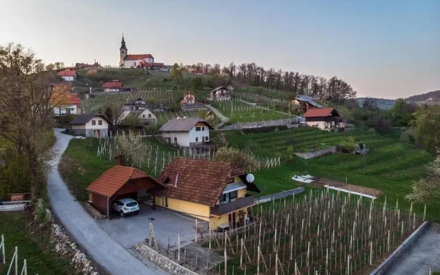 Vineyard Cottage Hocevar