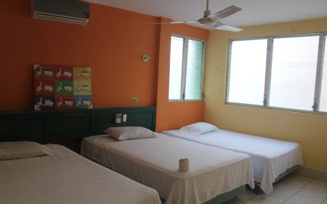 Hotel Green Monkey - Hostel