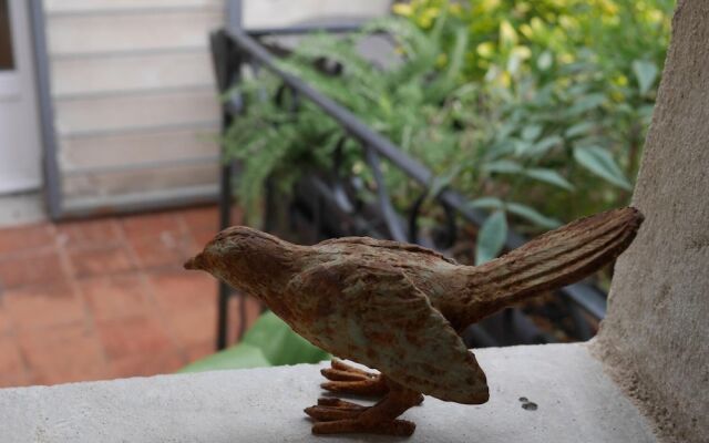 Une âme à Nîmes : coté cour