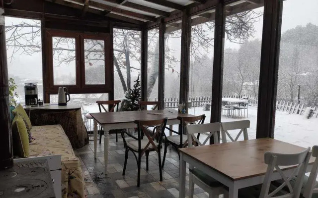 Torrhebia Dag Evi