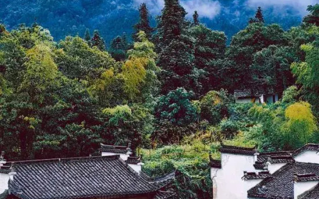 Onlyhere·Qishu (Hongcun Branch)