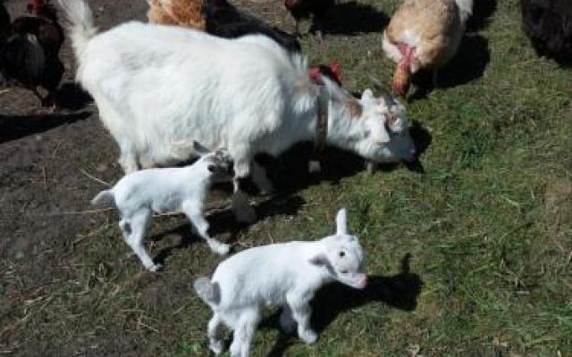 La Ferme Du Bout Du Monde