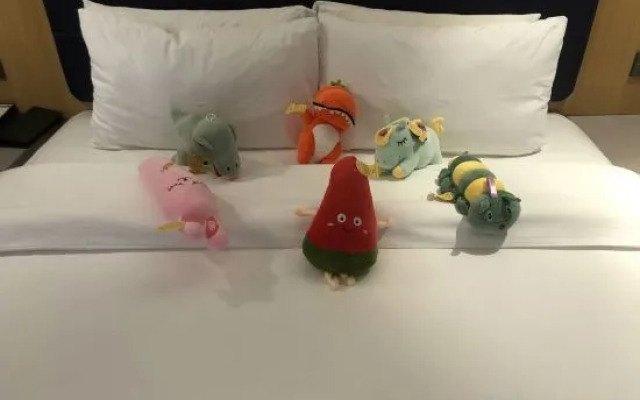 Homeinn Selected Hotel (Shanghai Pudong International Airport East Station)