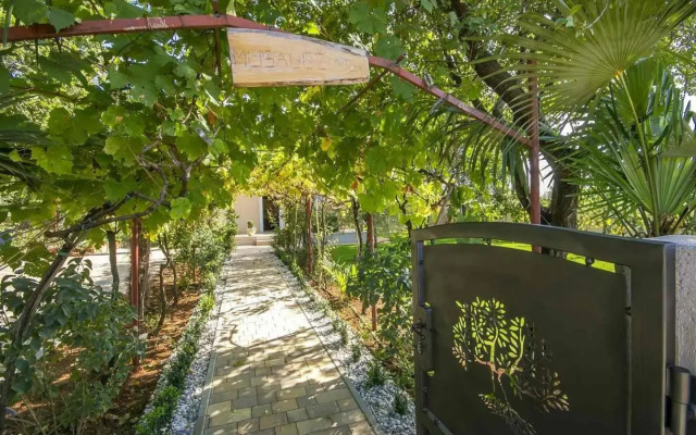 Villa Oliva
