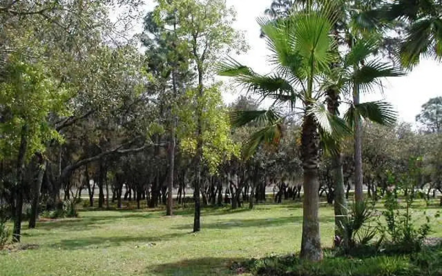 Sunny Oaks