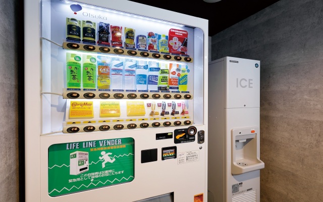 Del Style Osaka Shin Umeda by Daiwa Roynet Hotel