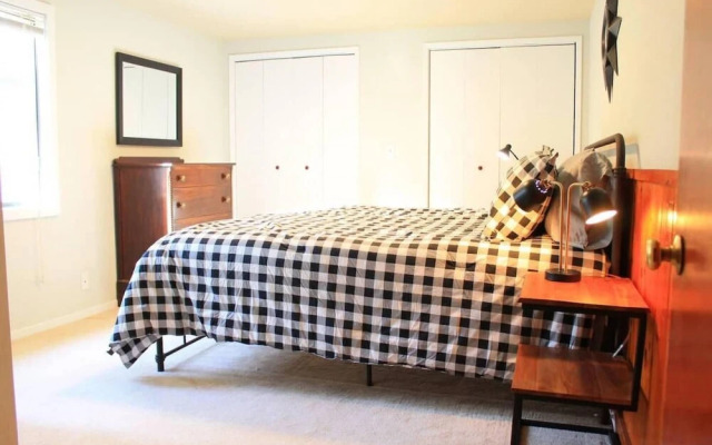 Fox St Criterion 54 - Aster